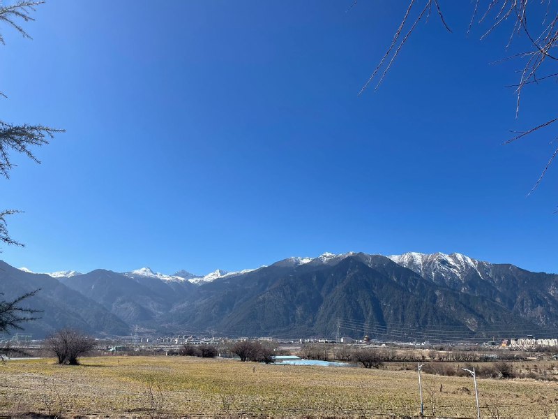 【国度代祷信息·西藏林芝家庭教会】202501252024年12月25日，西藏林芝市巴宜区检察院以涉嫌组织、利用邪教组织破坏法律实施罪，对姚西林、张卫、任晓云、王海英、李春洁、秦承兰、李小林、肖明芝、汪莹、李彦等十名基督徒提起公诉